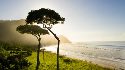 Playa Barrigona Costa Rica